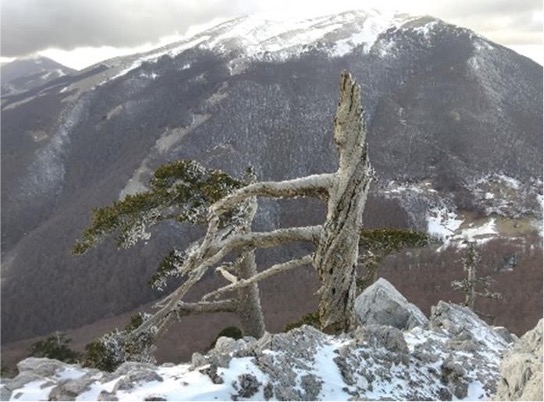 parco-nazionale-del-pollino-01-06-2024