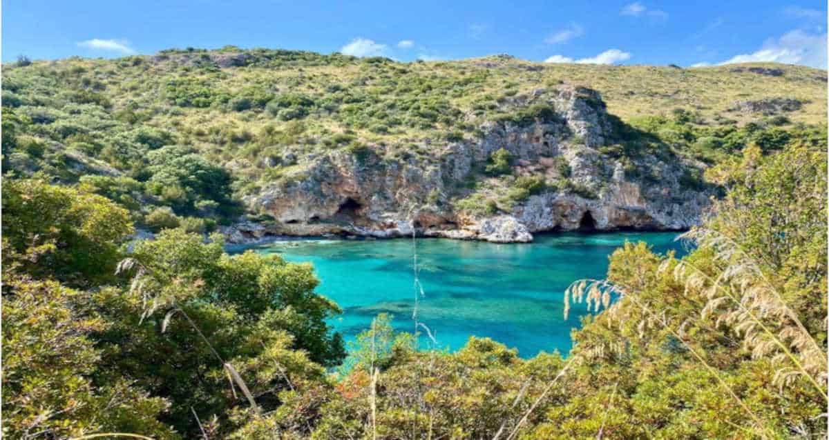 Da Marina di Camerota a Baia degli Infreschi