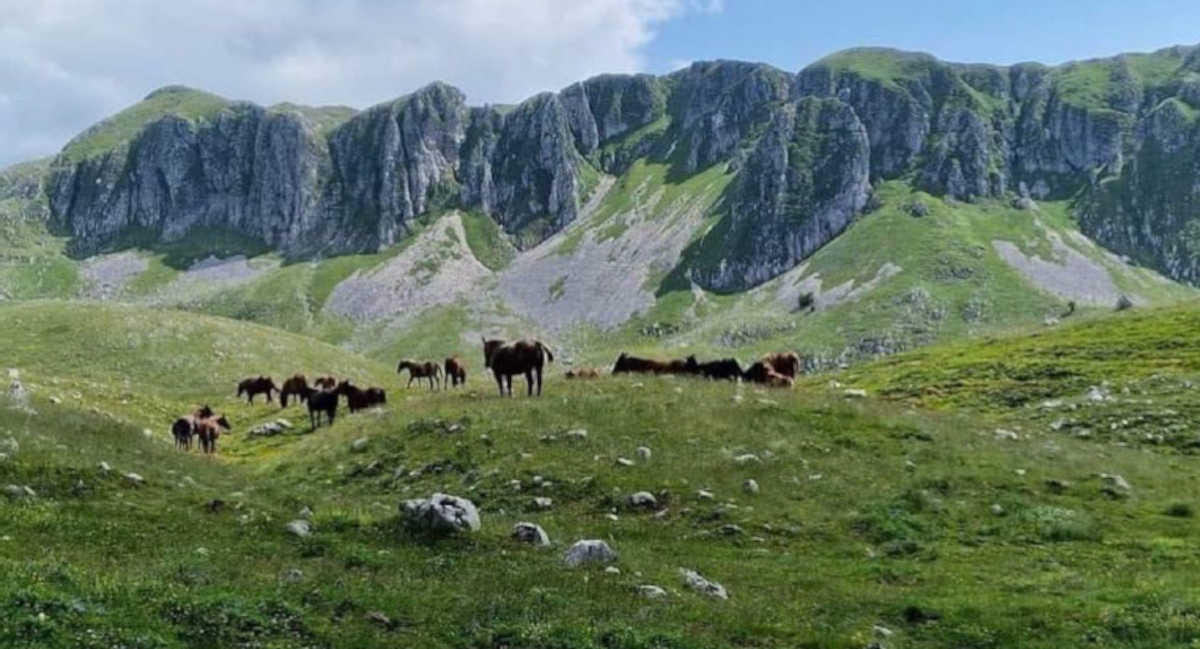 Intersezionale La Gallinola