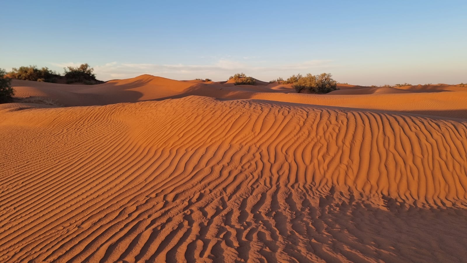 Desert trekking nel Sahara in Marocco della Sezione CAI Napoli