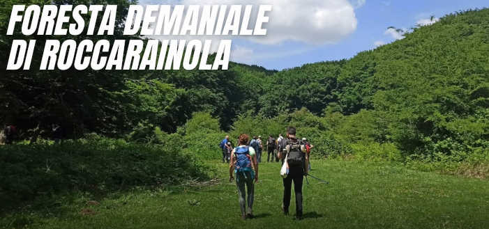 Foresta Demaniale Roccarainola