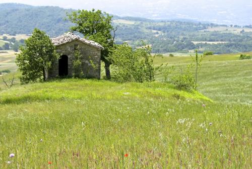 20150614MonteverdeSannio (11) (1)