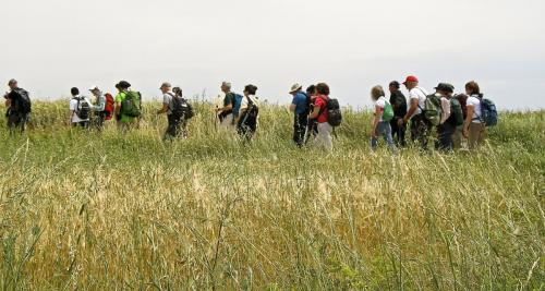 20150614MonteverdeSannio (3) (1)