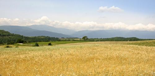 20150614MonteverdeSannio (5)