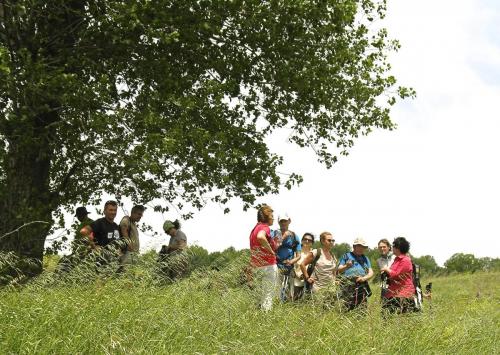 20150614MonteverdeSannio (7) (1)